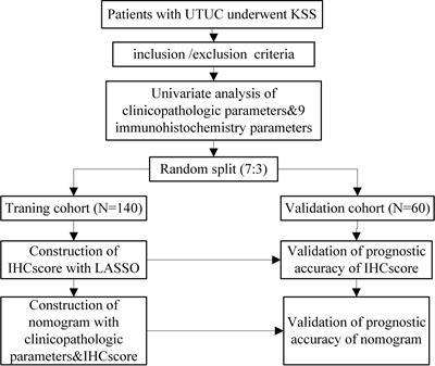 Construction and Verification of Immunohistochemistry Parameters-Based Classifier to Predict Local-Recurrence of Upper Tract Urothelial Carcinoma After Kidney-Sparing Surgery